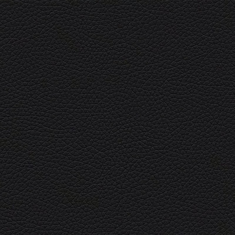 Gitzwart (lederlook)